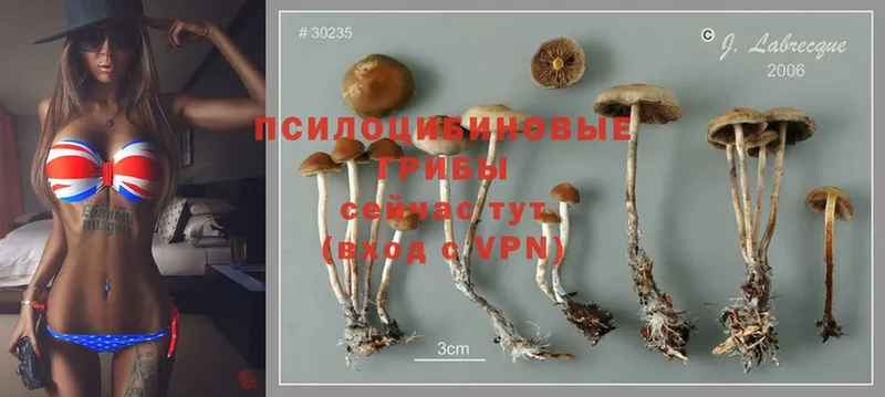 даркнет сайт  Лахденпохья  Галлюциногенные грибы MAGIC MUSHROOMS 