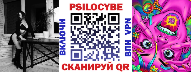 Галлюциногенные грибы Psilocybe  Лахденпохья 